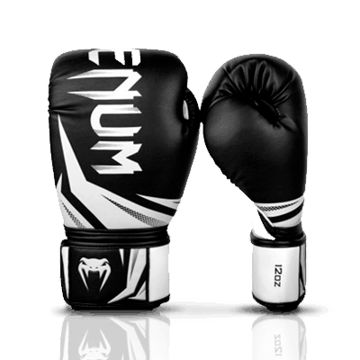 Muay Thai gloves