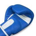 Buddha Top Fight boxing gloves blue