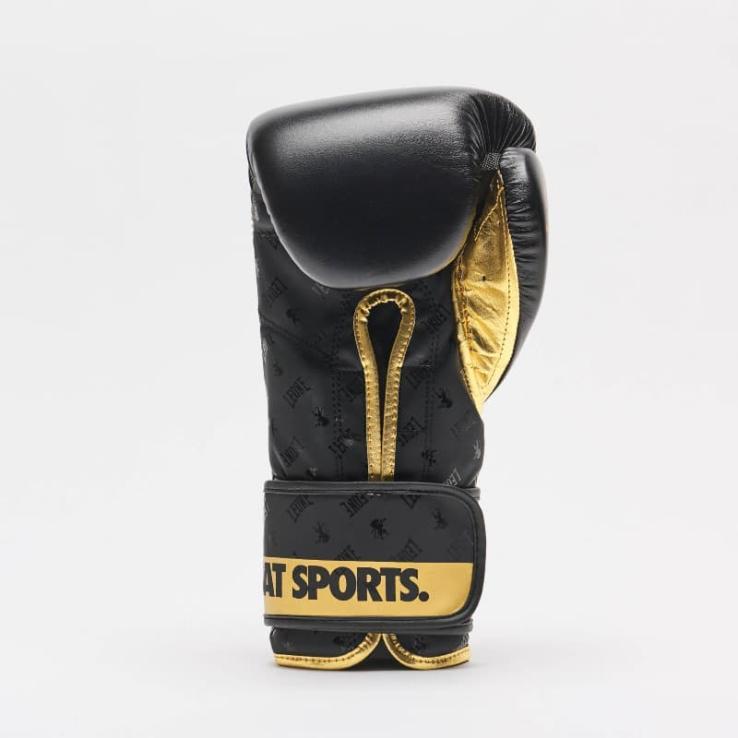 Boxing gloves Leone DNA
