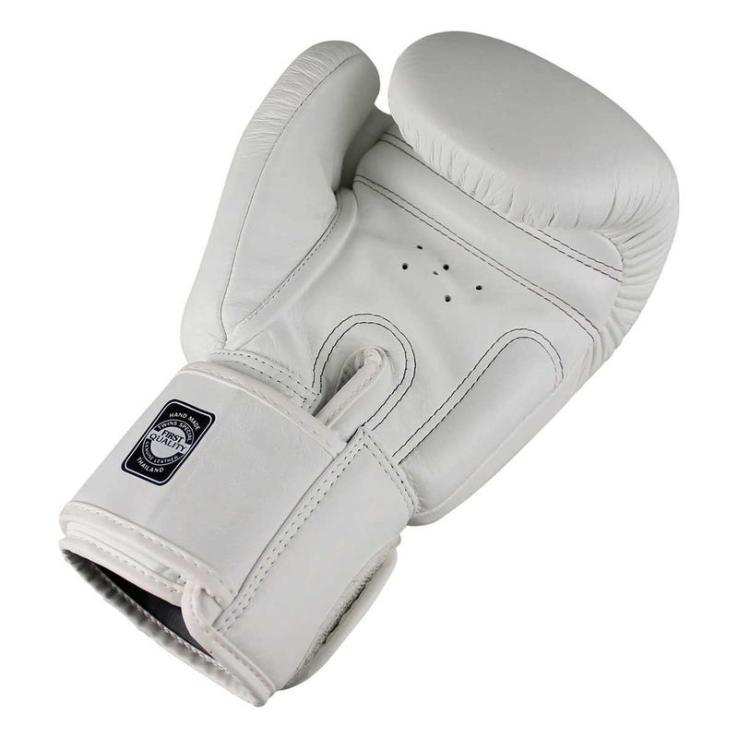 Boxing gloves Twins BGVL 3 White