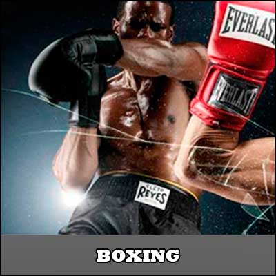 Muay Thai Mini Boxing Gloves von Kwon BJJ Boxen MMA Kickboxen Wing Tsun 